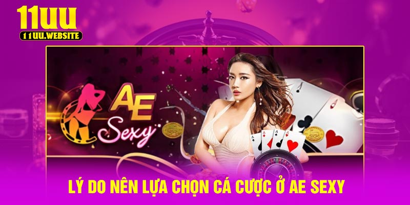 Lý do nên lựa chọn cá cược ở AE sexy