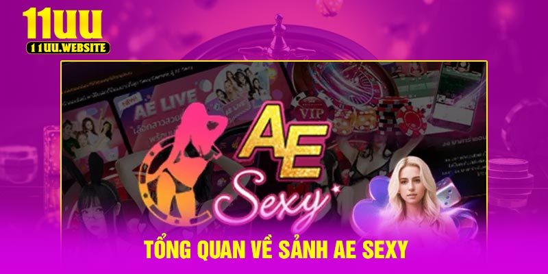 Tổng quan về sảnh AE sexy